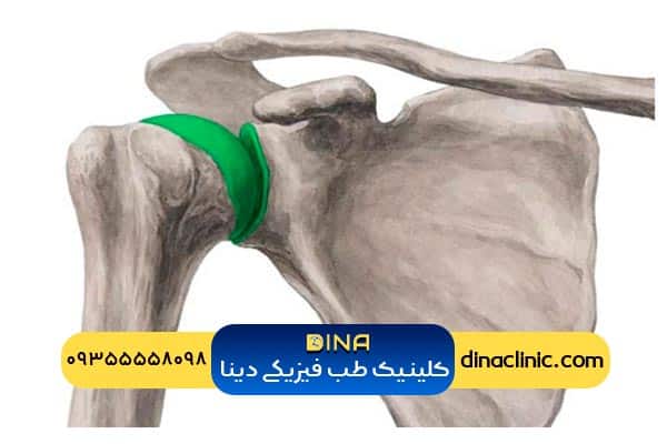 مفصل شانه